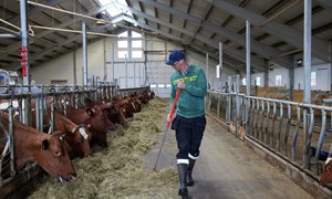 Lønnsomt med høgere ytelse