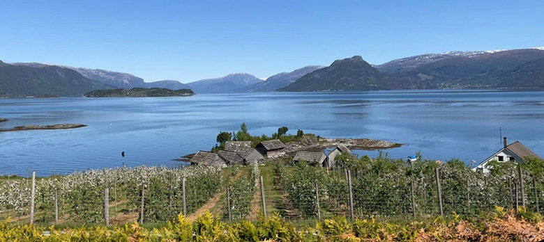 Landskapsbilete fr&aring; Vestlandet med frukt og fjord
