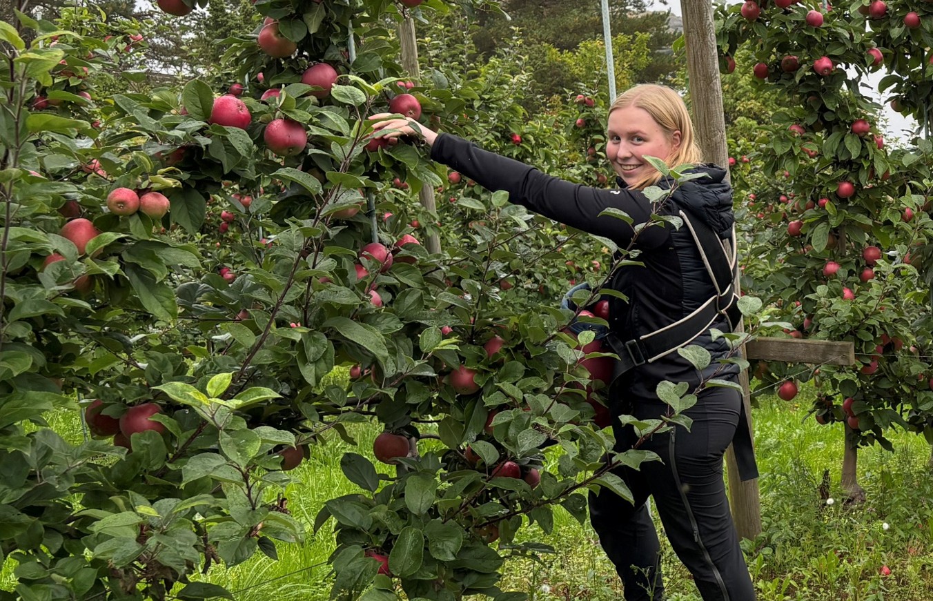 Kvinne i frukthage