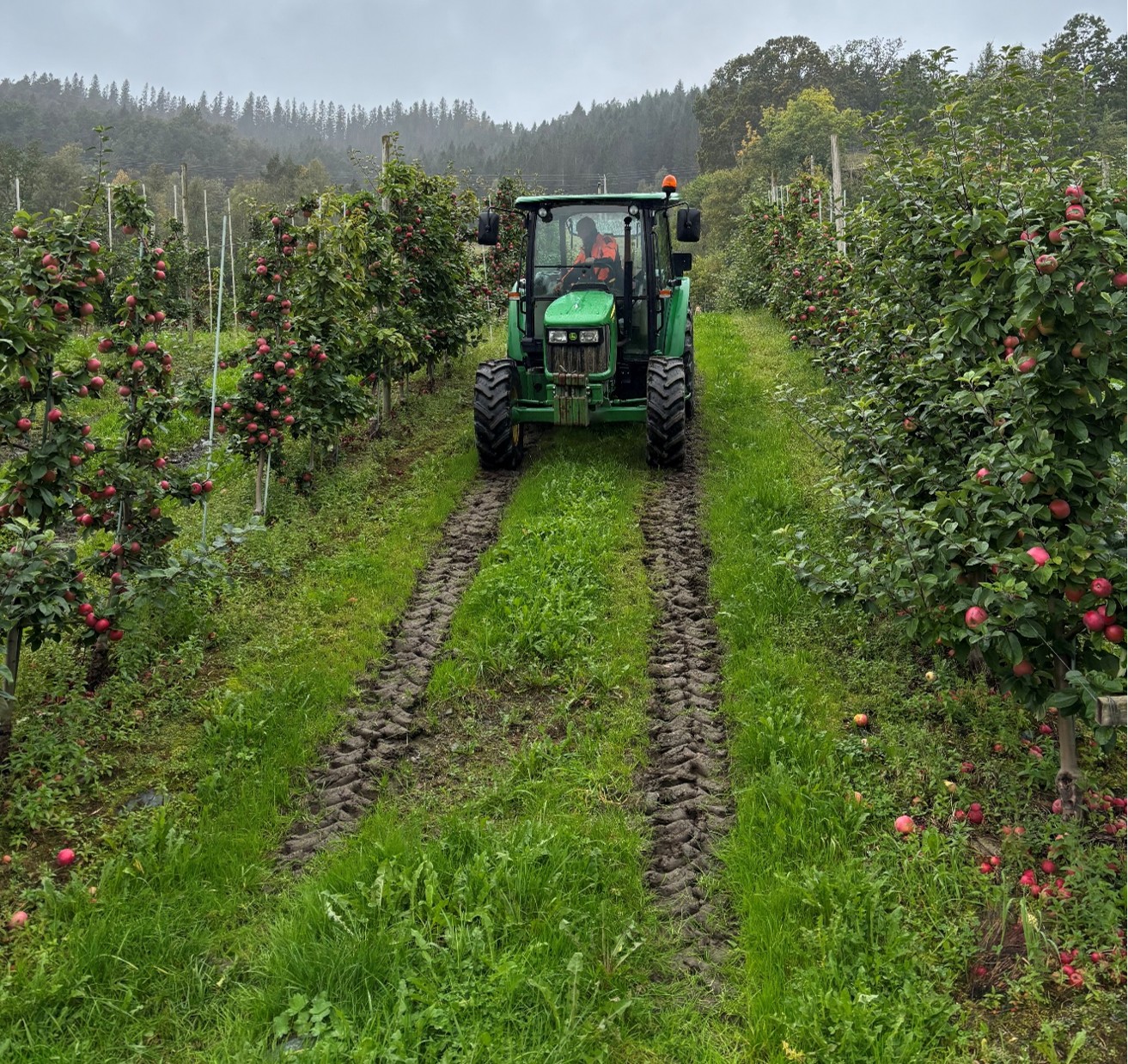 John Deere frukttraktor