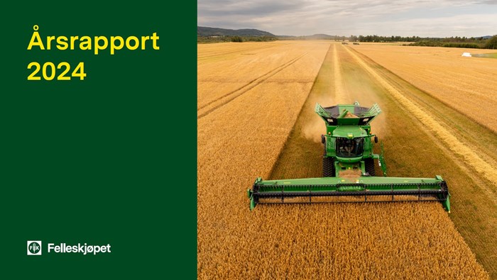 Årsrapport 2024