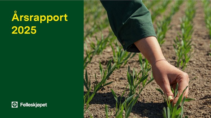 Årsrapport 2025