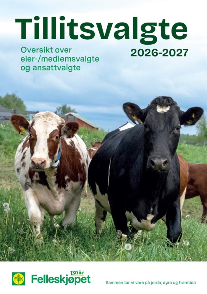 Tillitsvalgte 2026-2027