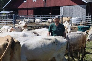 Ole Martin Hvidsten leverer økologisk korn til et marked i vekst