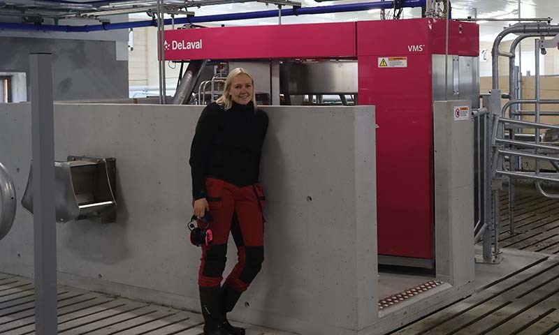 Thea satser på gården med rosa DeLaval robot 