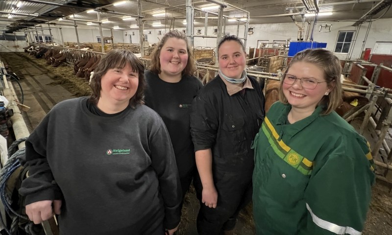 Tre fjøs, tre eiere og en rådgiver