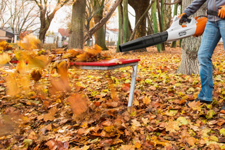 Rydd i hagen med en løvblåser