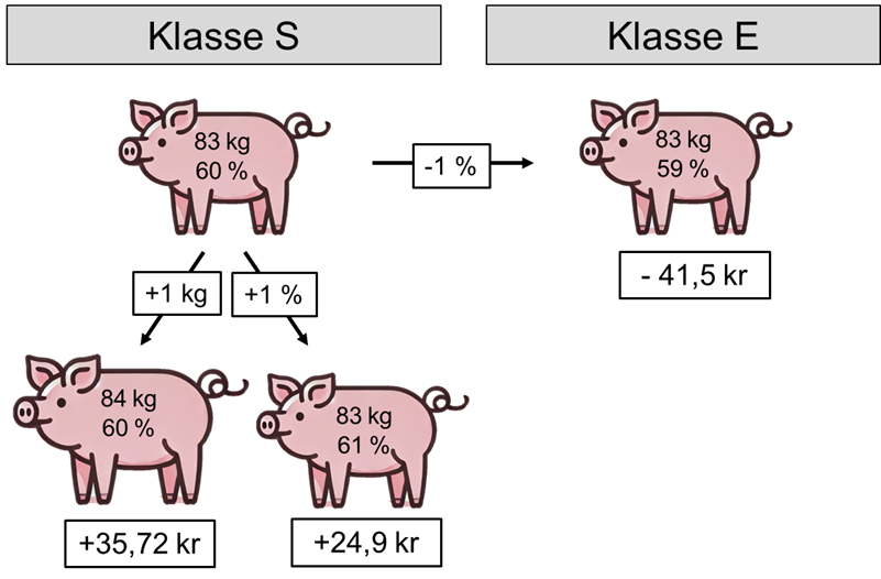 Økonomisk betydning