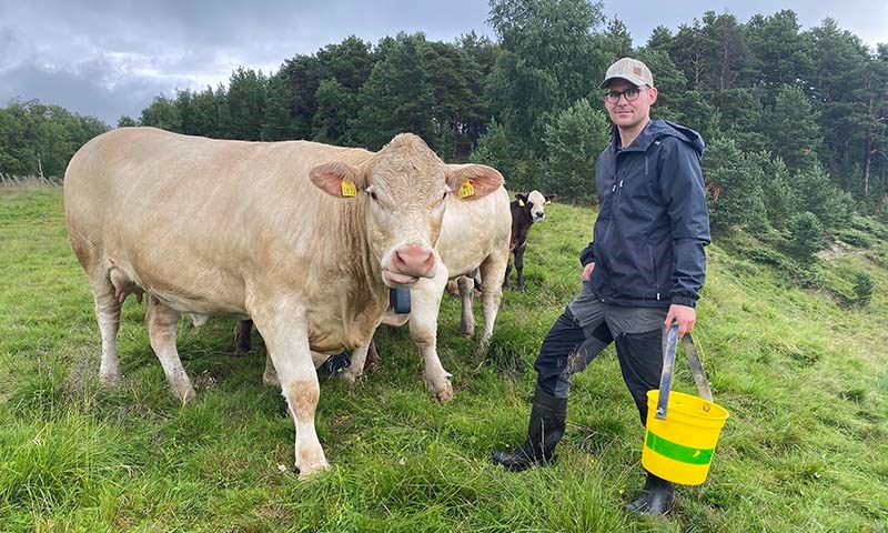 Bærekraftig landbruk på fjellet