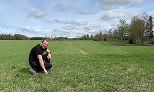 Tester agronomiske grep for lavere utslipp