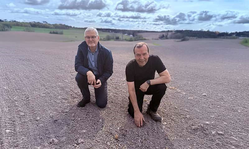 Kjetil Randem og Svein Bjerke i åker. Bildet er utvidet på begge sider ved hjelp av KI.