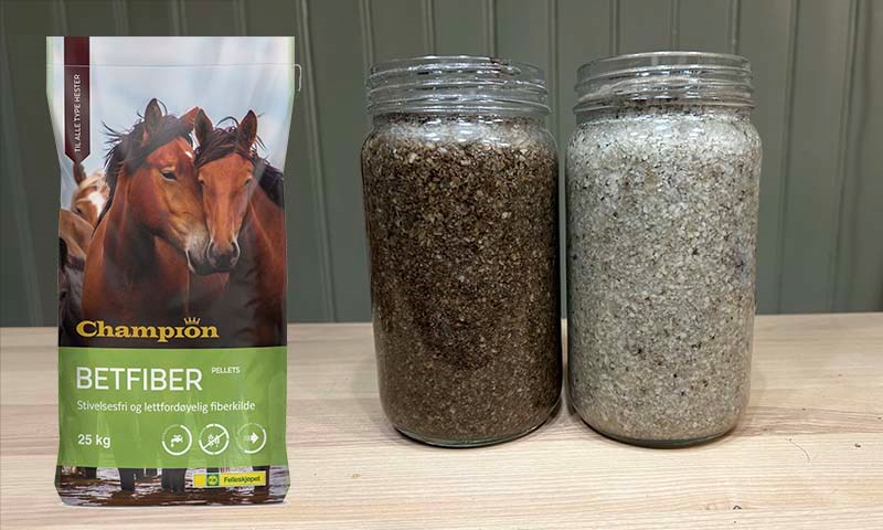 Betfiber fra Champion , ny lysere farge.