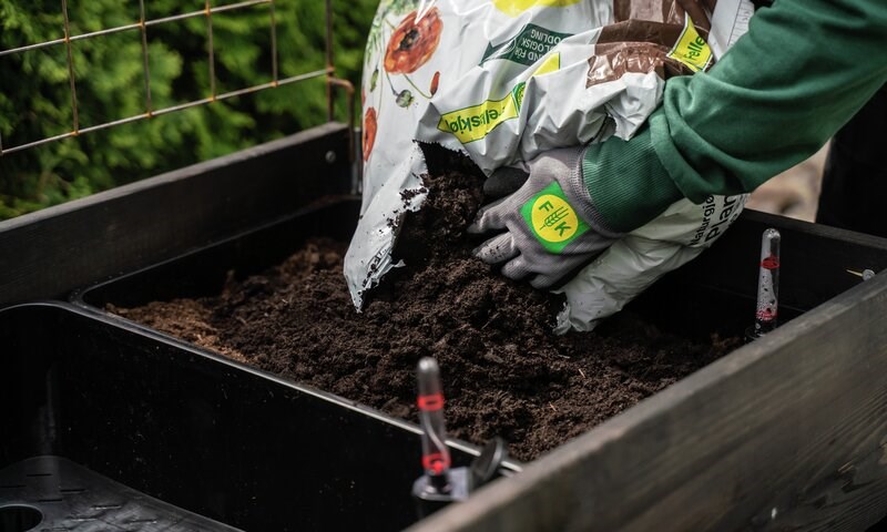 Hånd som planter i pallekarm