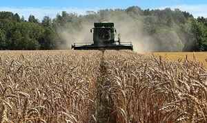 Én av tre nordmenn frykter for mattilgangen