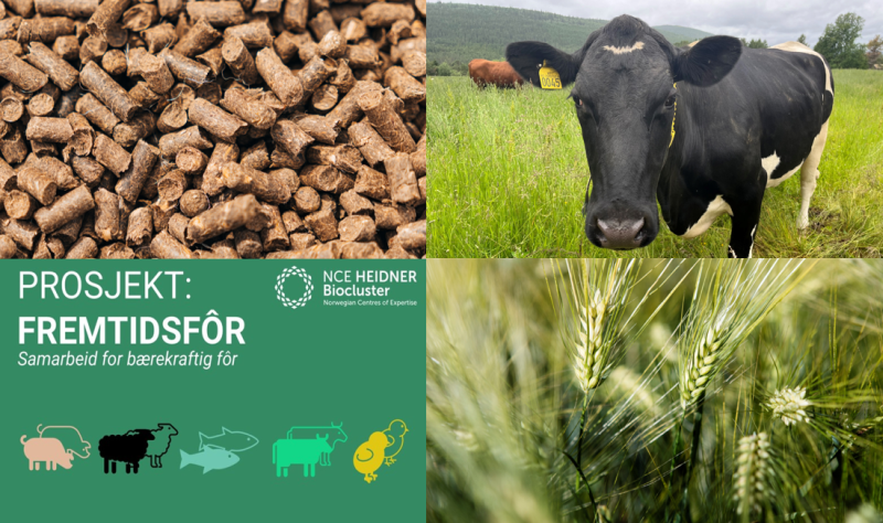 To blide personer i kontorlandskap