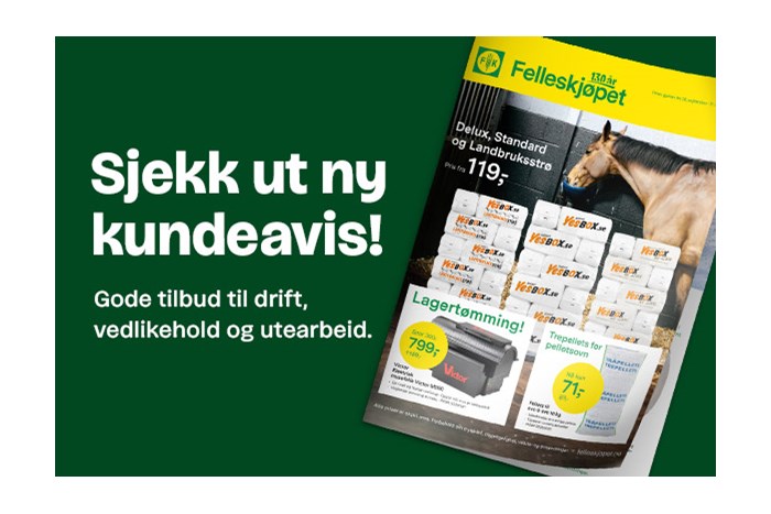 Ny kundeavis