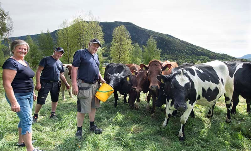 GLAD FOR HJELP: Bøndene i Herad Samdrift har god bruk for halmen fra Østfold etter storflommen: F.v Kari Borghild Løstegaard, Ola Halvard Jorde og Ola Frøysok.