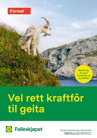 Velg rett kraftfôr til geita