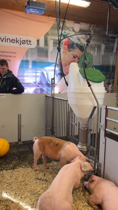 ProGrow kameraveiing i grisefjøs