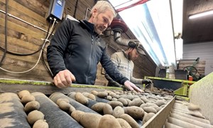 Settepotet er en helårs-produksjon