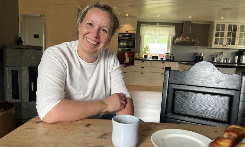 En politiker i styret med en tanks i hagen