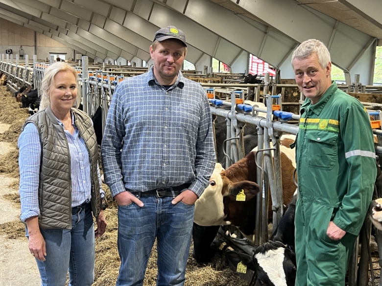 Tre personer i fj&oslash;s for storfe