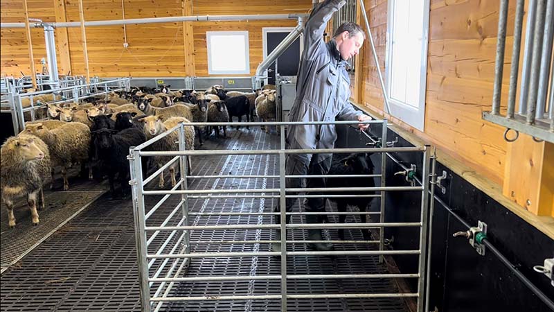 800x450 LETTGRINDER.jpg