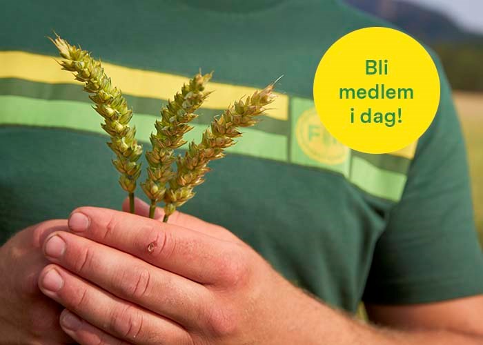 Velkommen til Samvirke på Facebook