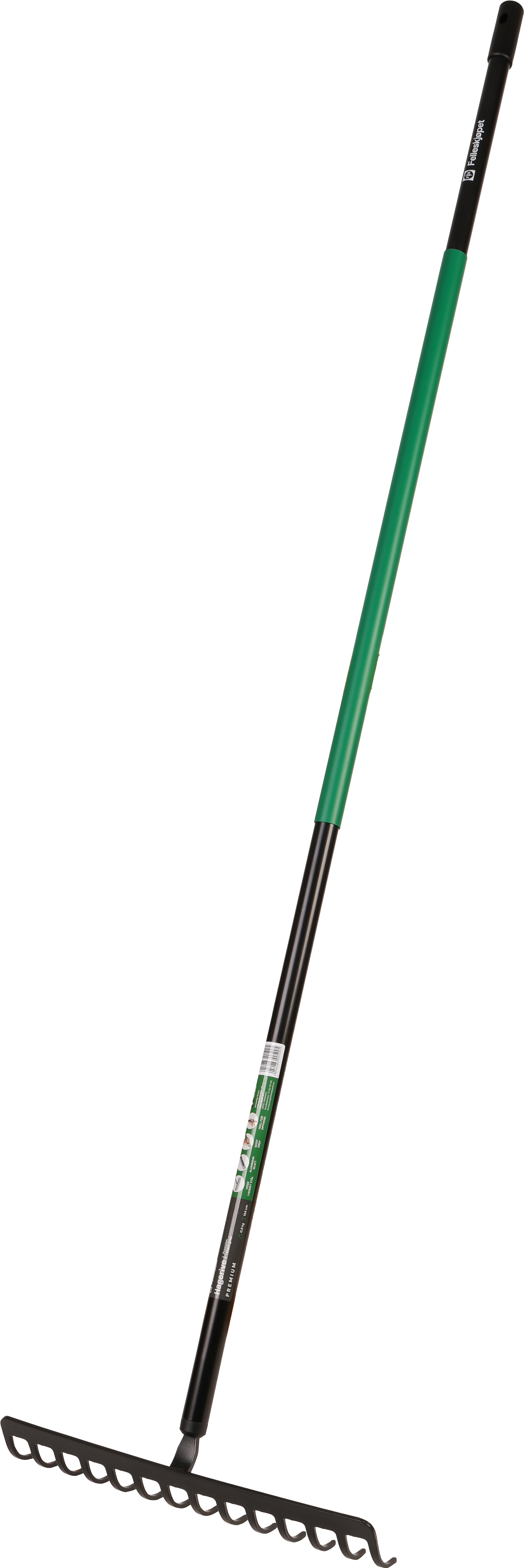 50351143_base-n2.jpg