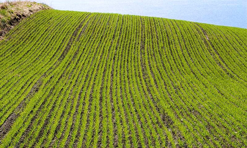 Nye plantevernprodukter og aktuelt for 2025