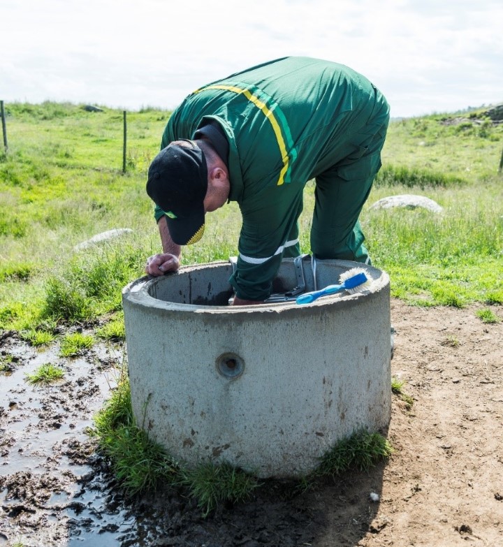 drikkekar til ku på beite