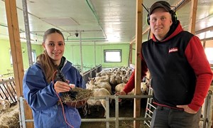 Mathias justerer fôringa etter grovfôrkvaliteten