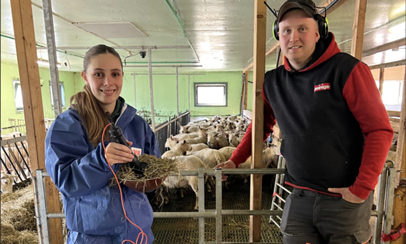 NIR-analyse av grovfôr