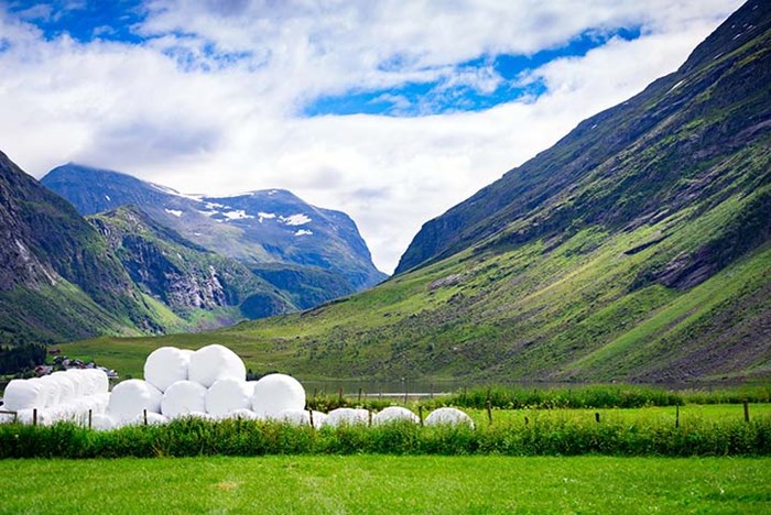 Såfrø, ensileringsmidler og landbruksplast