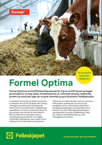 Optimastrategien