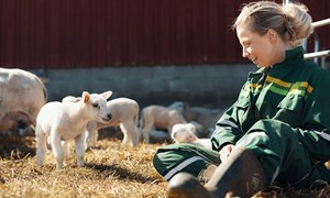 Hvem er Norges mest inspirerende og bærekraftige bonde?