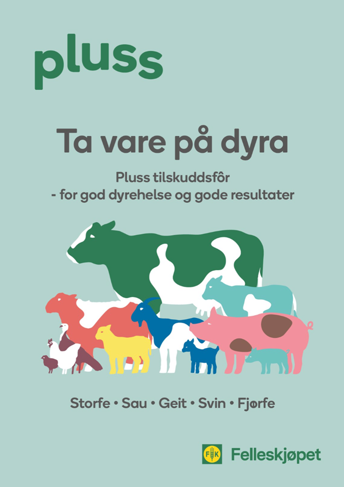 Alt om tilskuddsfôr