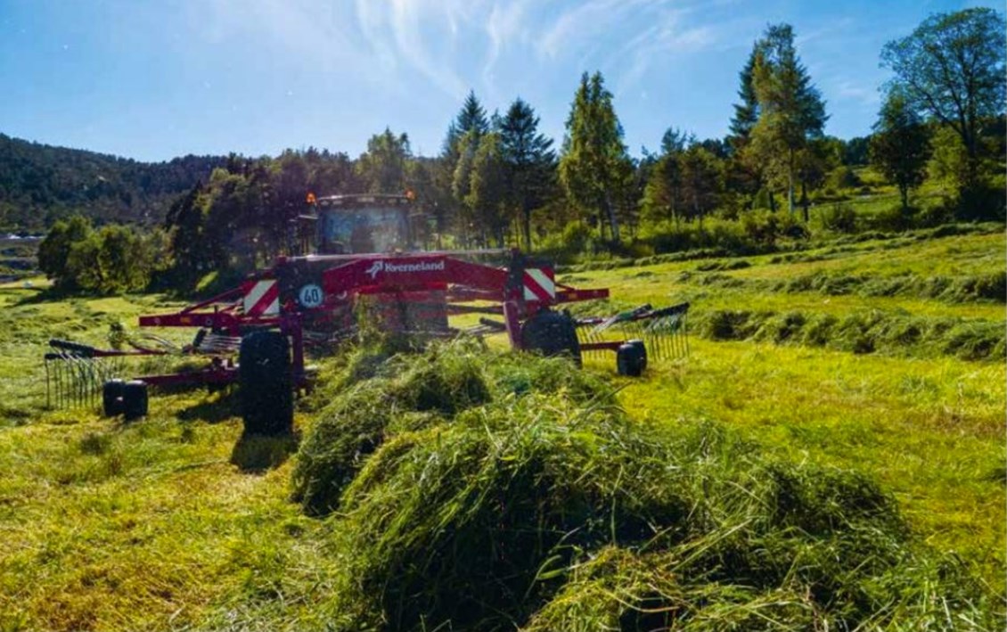 Traktor med rive vender gras