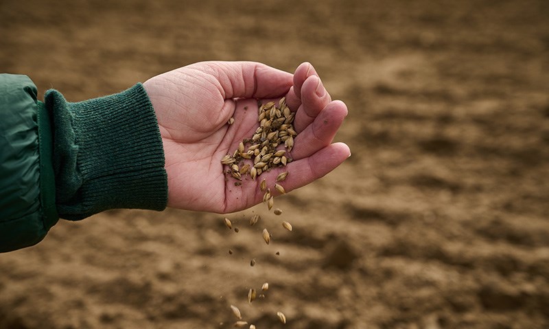 Over 500 nominasjoner til Landbrukets bærekraftpris