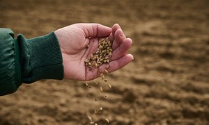 Over 500 nominasjoner til Landbrukets bærekraftpris