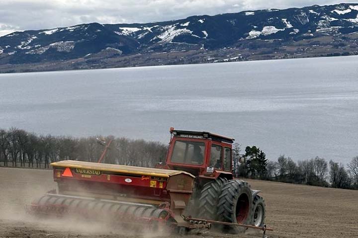 720x480 Vaderstad snø toten.jpg