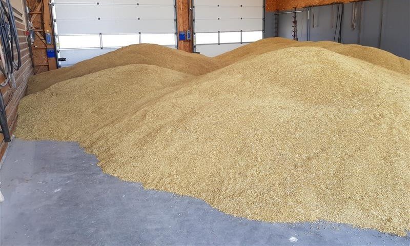 Plantørke med et parti bygg