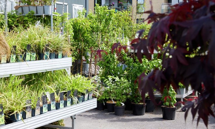 Besøk våre hagesentre