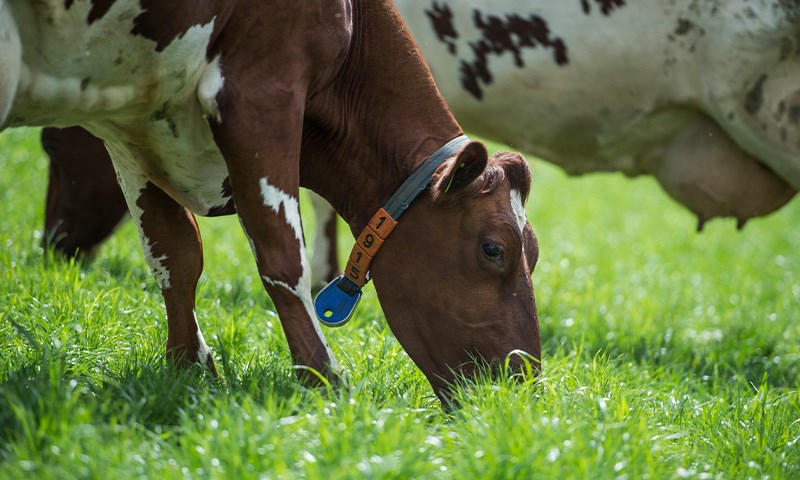 Kverneland multiklipper