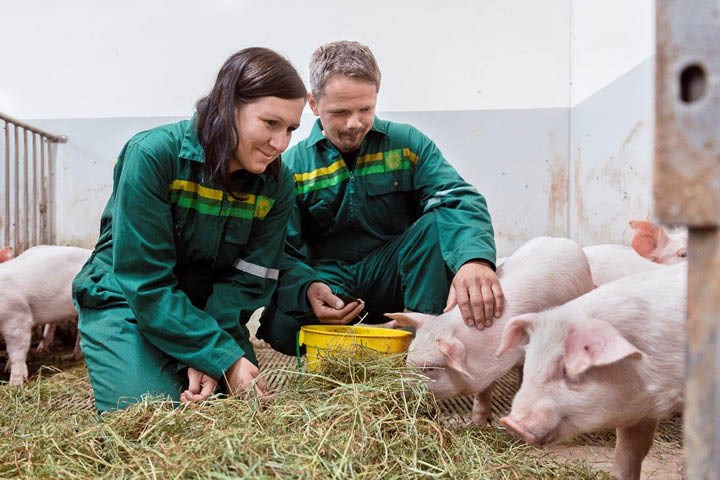 Et godt liv for dyra og et bærekraftig landbruk