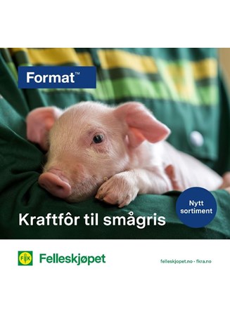 Kraftfôr til smågris