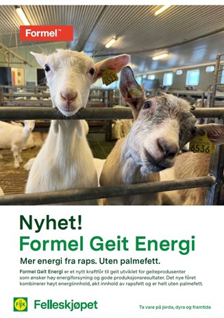 Formel Geit Energi