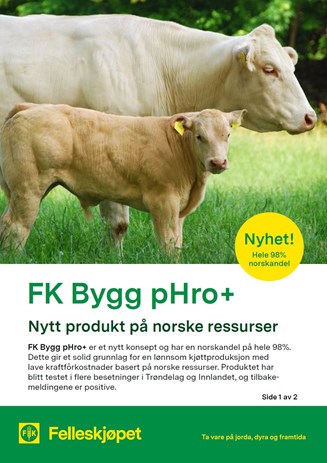 FK Bygg pHro+