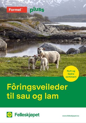 Fôringsveileder til sau og lam