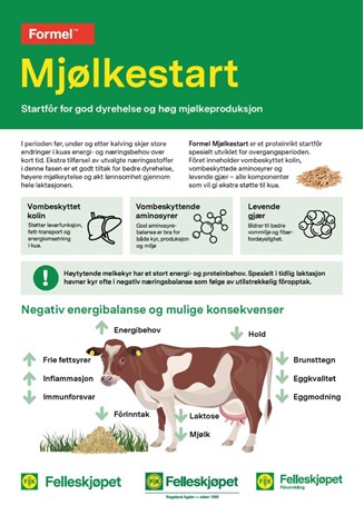Mjølkestart